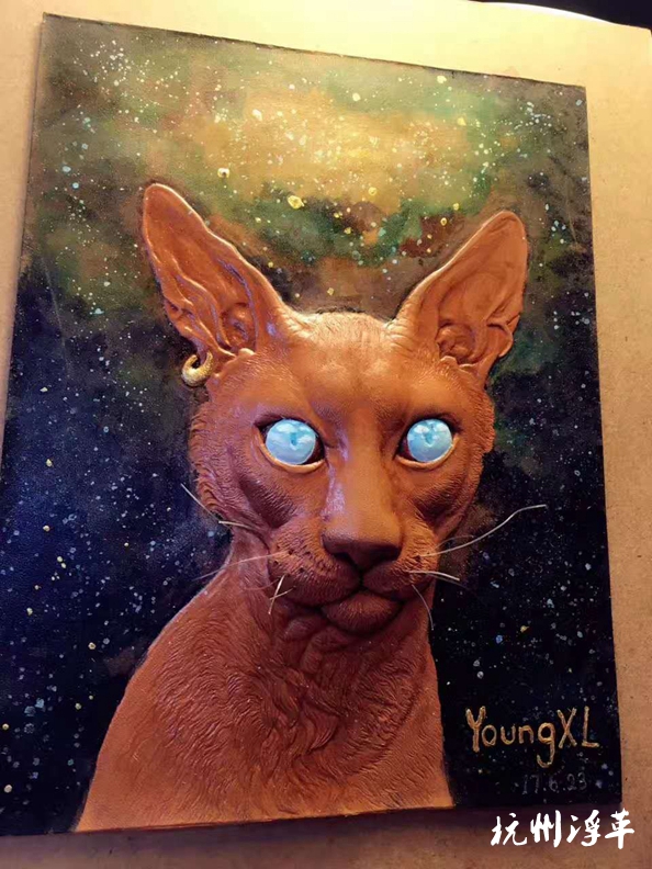 一只生活在星空下的猫