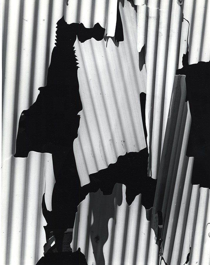 布雷特·韦斯顿(原名theodore brett weston,1911年12月16日生于