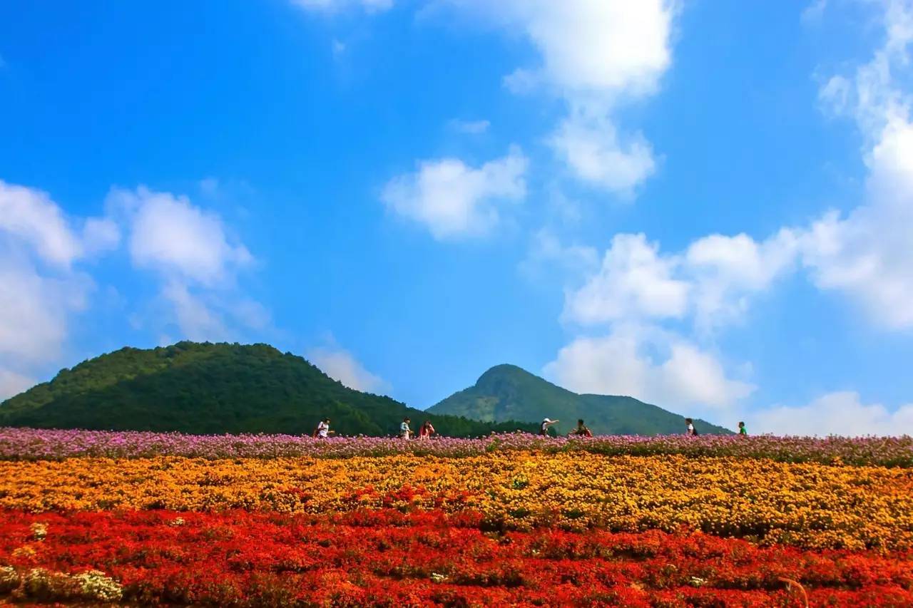 长泰旅游(长泰旅游景点有哪些地方)