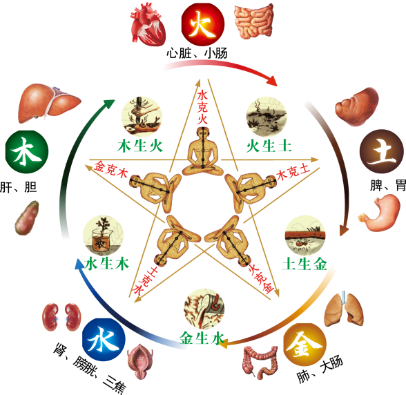 五行相生相克脏腑图片