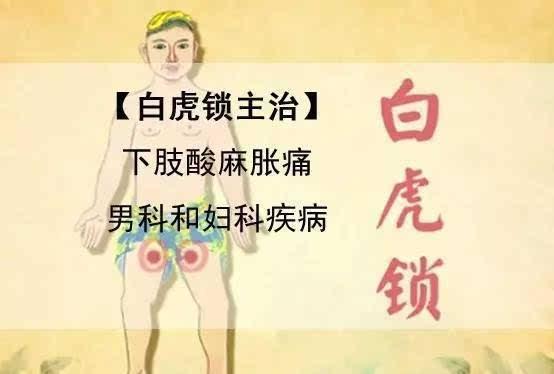 百草坡锁阴案详情图片