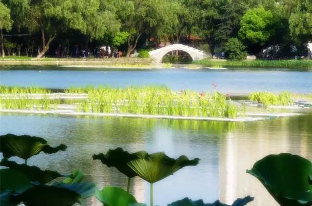 武汉紫阳公园热带雨林图片