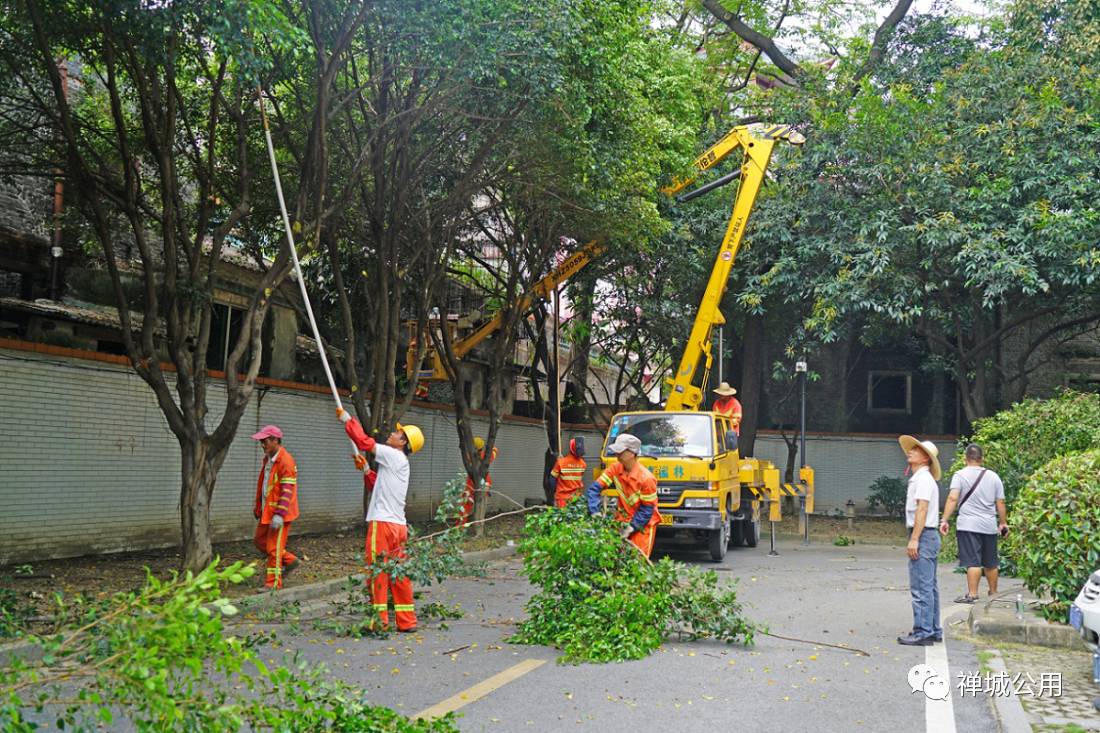 江苏城市职业学院院系_江苏城市职业学院_江苏城市职业学院校风