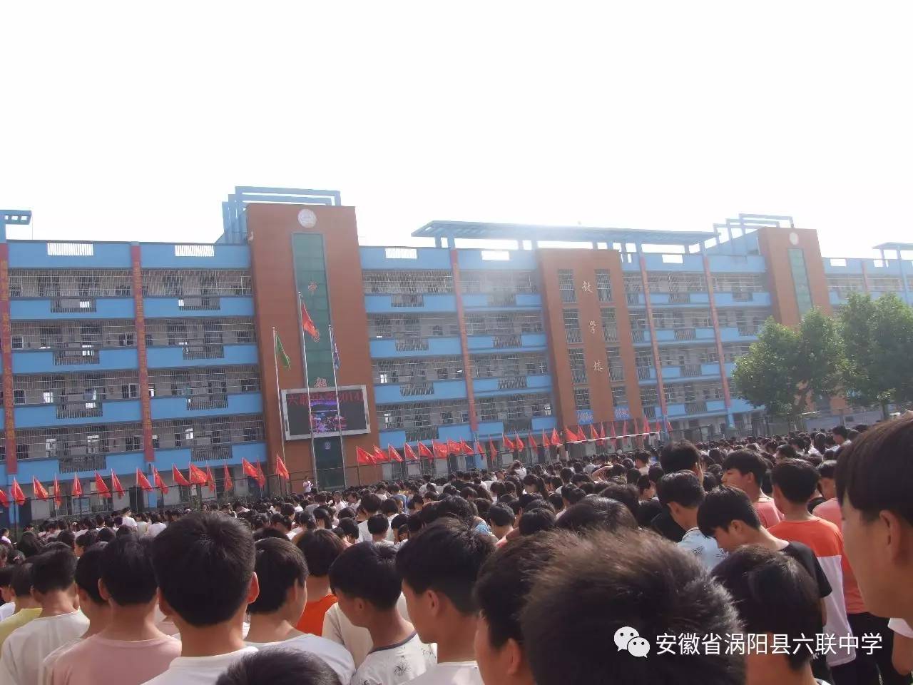 涡阳青町邱阳快出来了图片