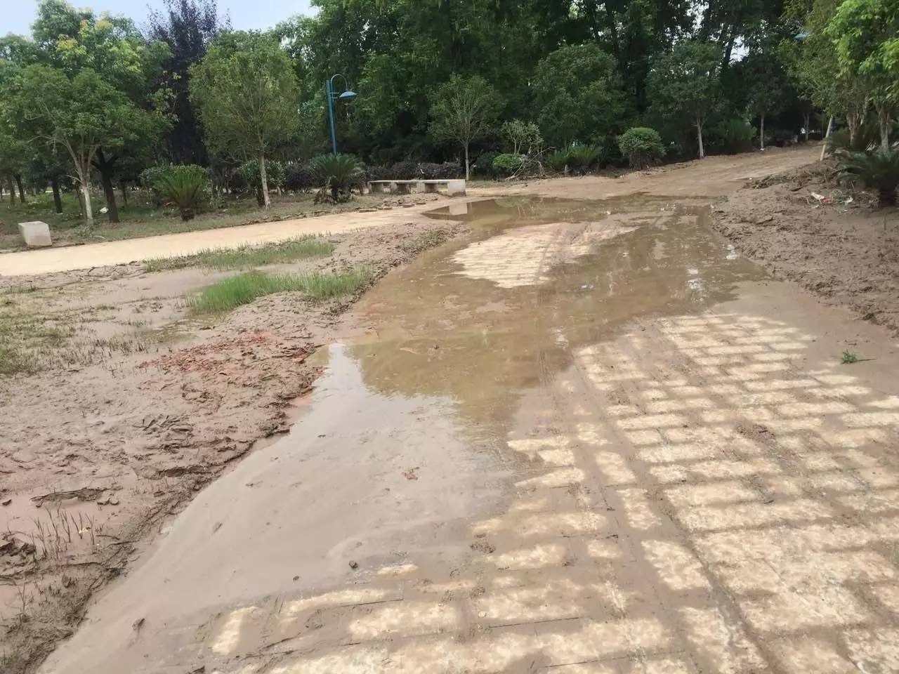 暴雨后的弋阳有这样一群在清除雨后淤泥大家一起点个赞