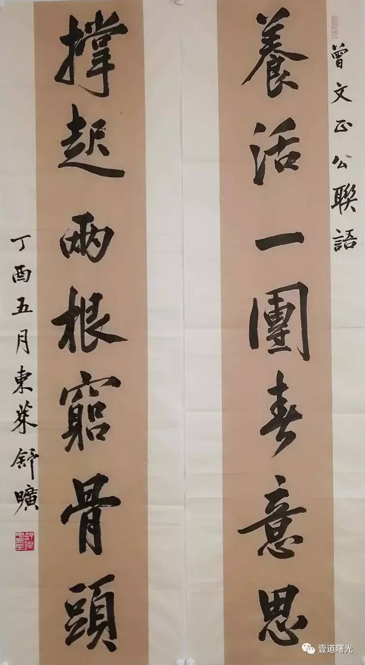 王曙光书联《养活一团春意思》