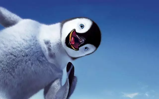企鹅张开嘴巴后的照片图片