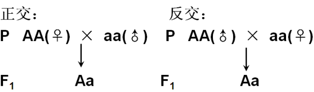 正交反交图解图片