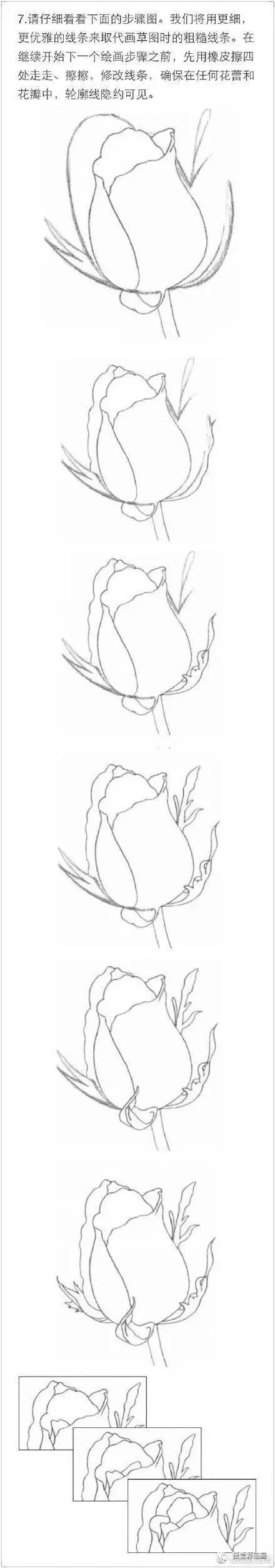 教你如何快速用铅笔画一朵玫瑰花