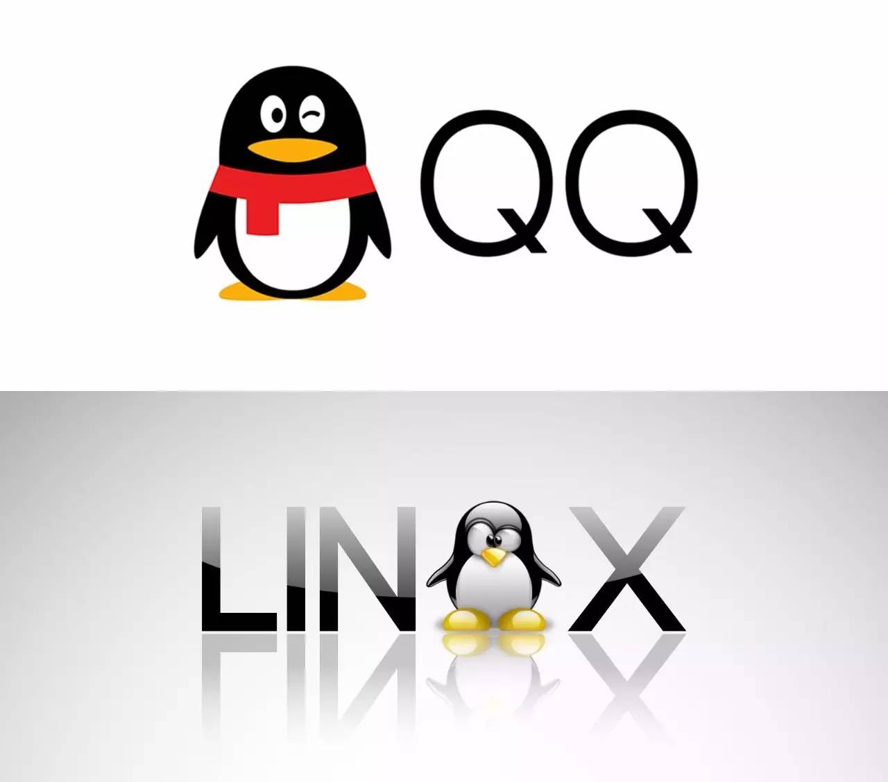 QQ小程序logo图片