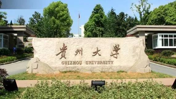 再见花溪再见大学城