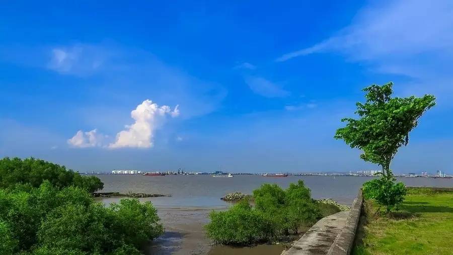 招募 ▏海鷗島看房一日遊!最適合約上家人一起去噢