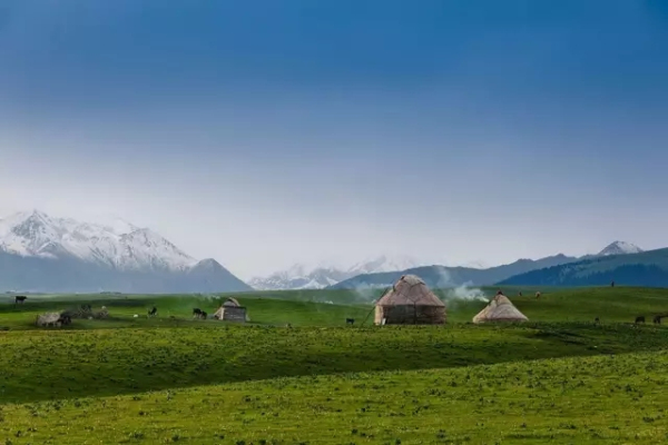 的草原外還有森林,雪山,野花等,景色十分迷人北疆草原的精華所在那 拉