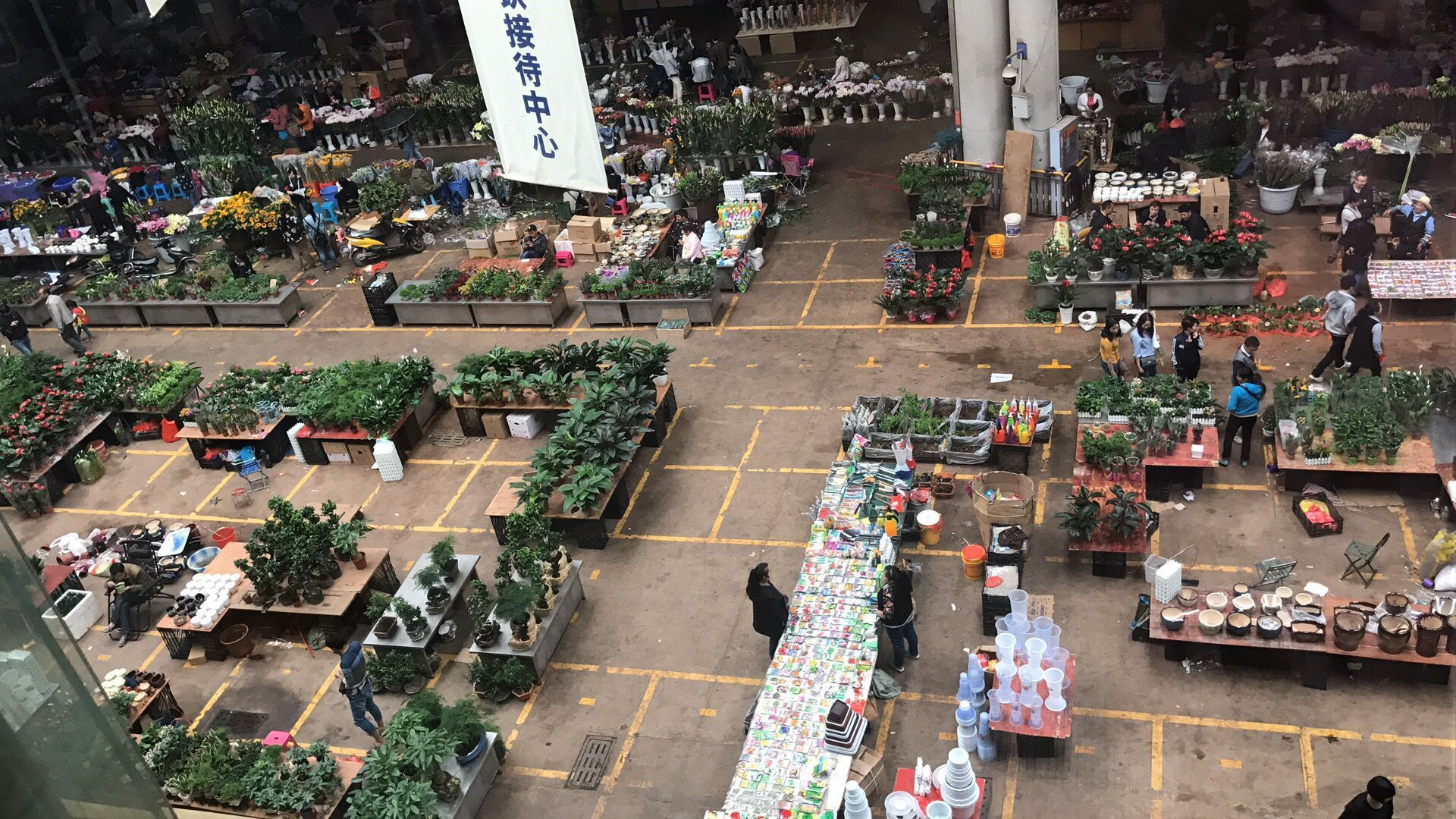 昆明路3511花卉市场图片