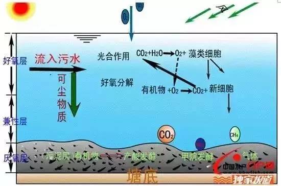 浅谈水质富营养化和底改调水