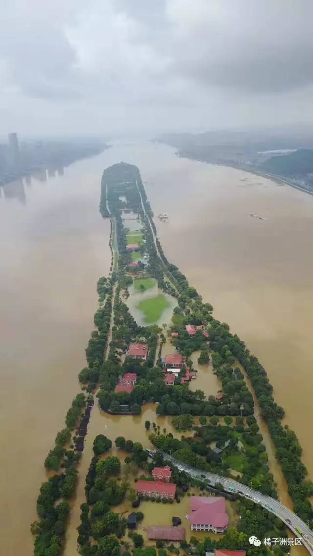 风雨同舟全力以赴橘子洲力争早日开园