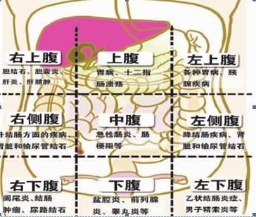 面栏目宣武普外刘东斌教授为您权威解读了不同部位肚子疼不同内脏问题