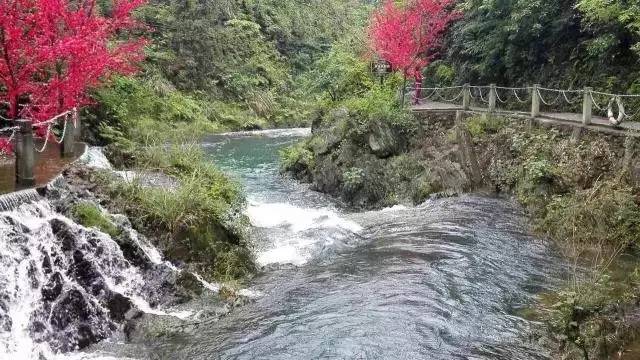 常德桃源縣南部有一個綠水如詩,青山皆畫的地方——烏雲界生態園,那裡