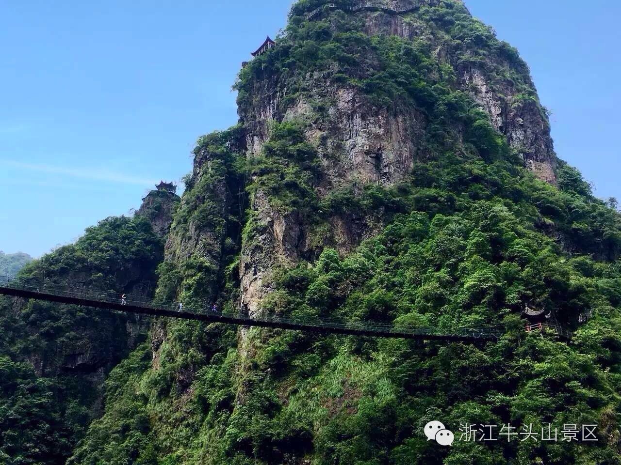 中山牛头山生态园图片