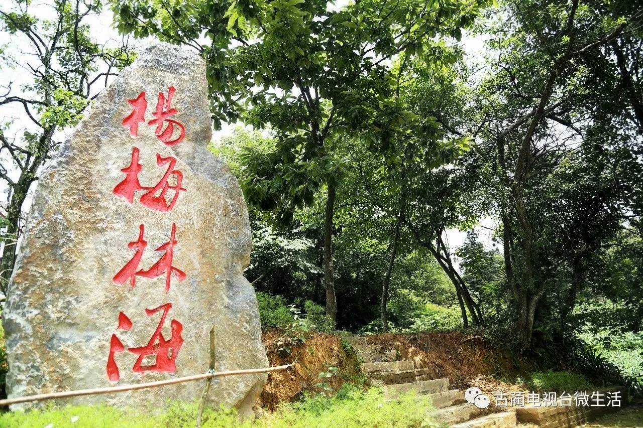 杨梅节活动这么丰富多彩,要是去了水口之后找不到住宿休息的地方