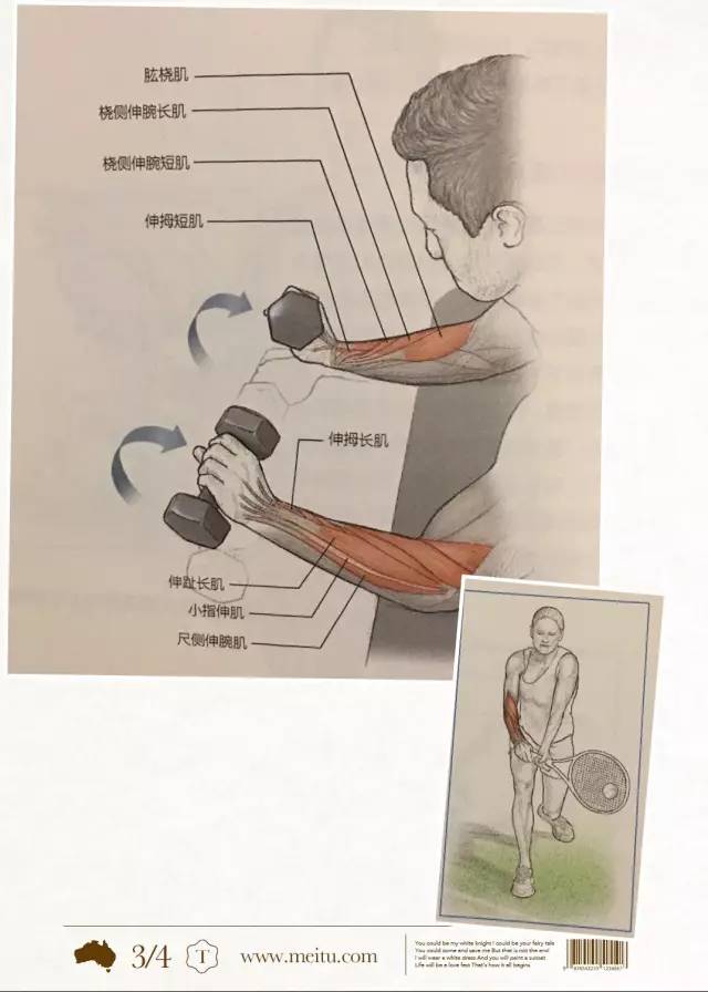 但却不想练出来肌肉 那小关节的力量绝对不能忽视 手腕力量加强 首先