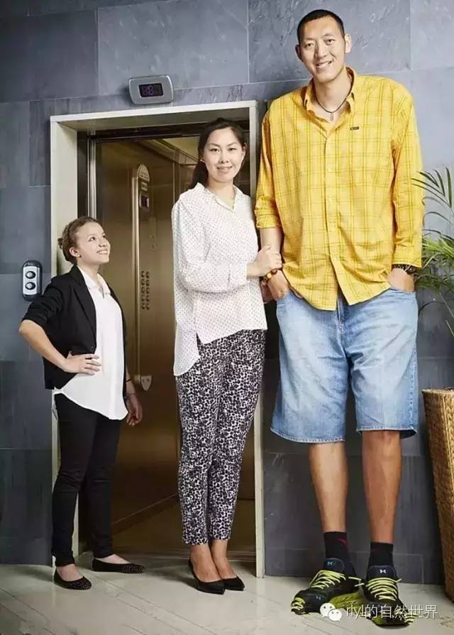 孙明明2米36, 妻子1米87中国篮球员孙明明和他的妻子徐艳是世界上身高