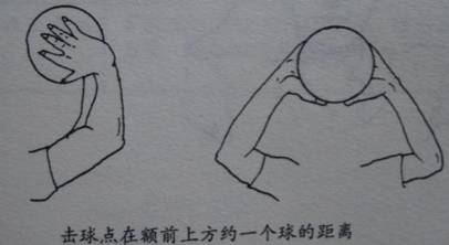 (1)正面传球手型为两手自然张开成半球形,两拇指相