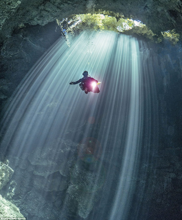高清:阳光穿越墨西哥水下洞穴 潜水员光束内下潜(组图)