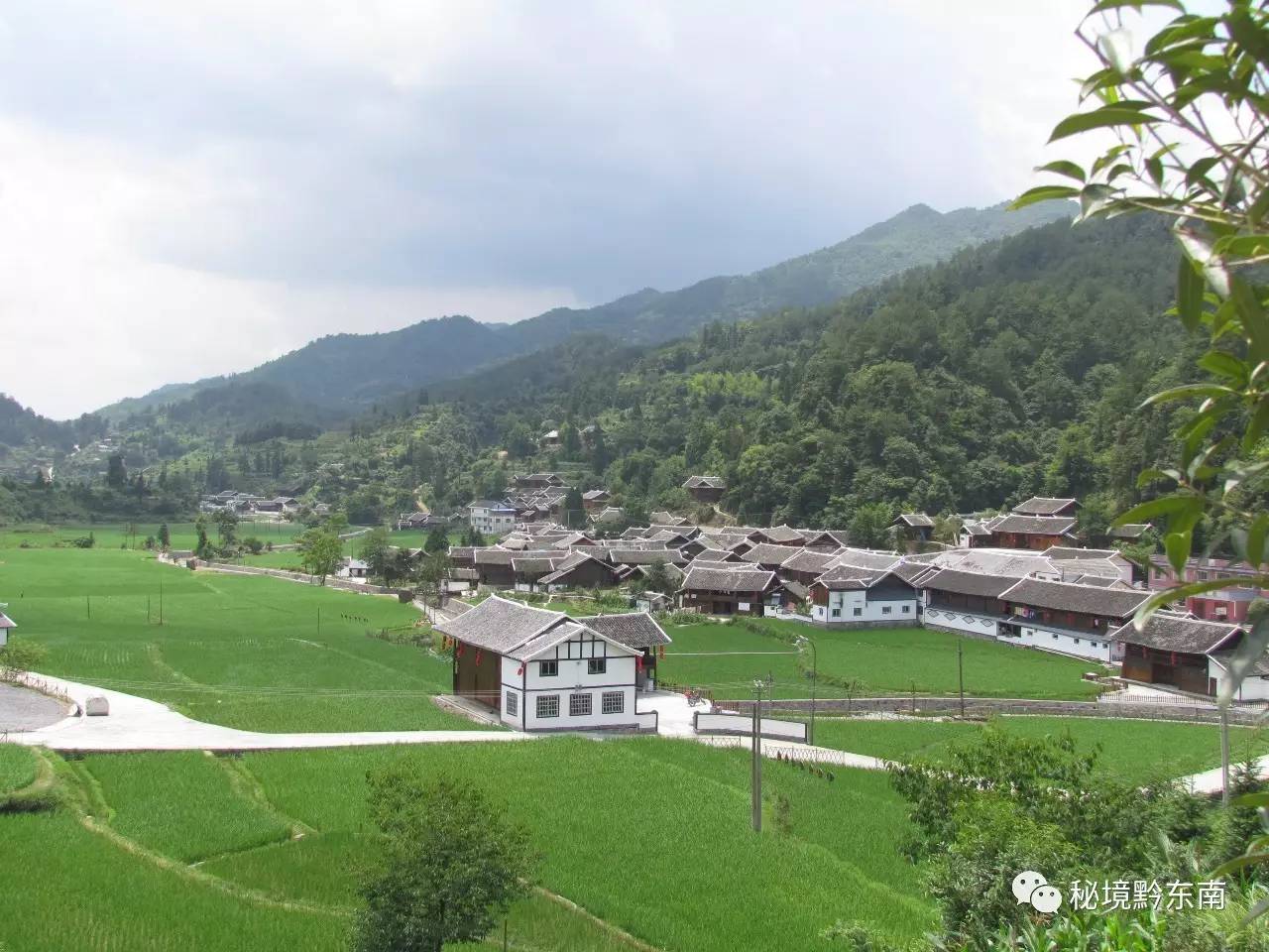 乡王家坪村,你会看到具有古村落风格的寨子,青山秀水间错落有致的房屋