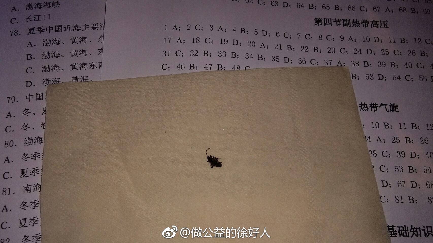 北方的蟑螂以 德國小蠊為主,小的僅 0.2～0.5釐米.