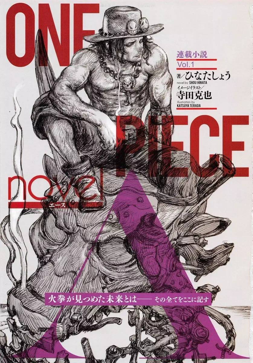 在這個驚人的設定推出的同時,以艾斯為主角的小說《one piece novel 