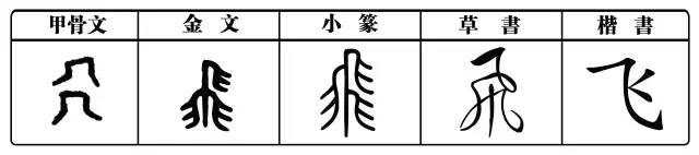 每日一字