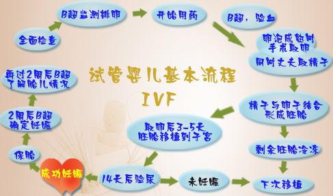 自己在家做试管怎么做流程图片(自己在家做试管怎么做流程图片视频)-第1张图片-鲸幼网