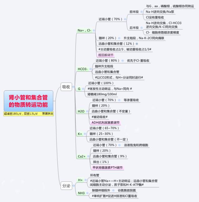 代謝▲小腸內消化▲大腸內消化▲胃腸神經調節的一般規律▲吸收▲胃內