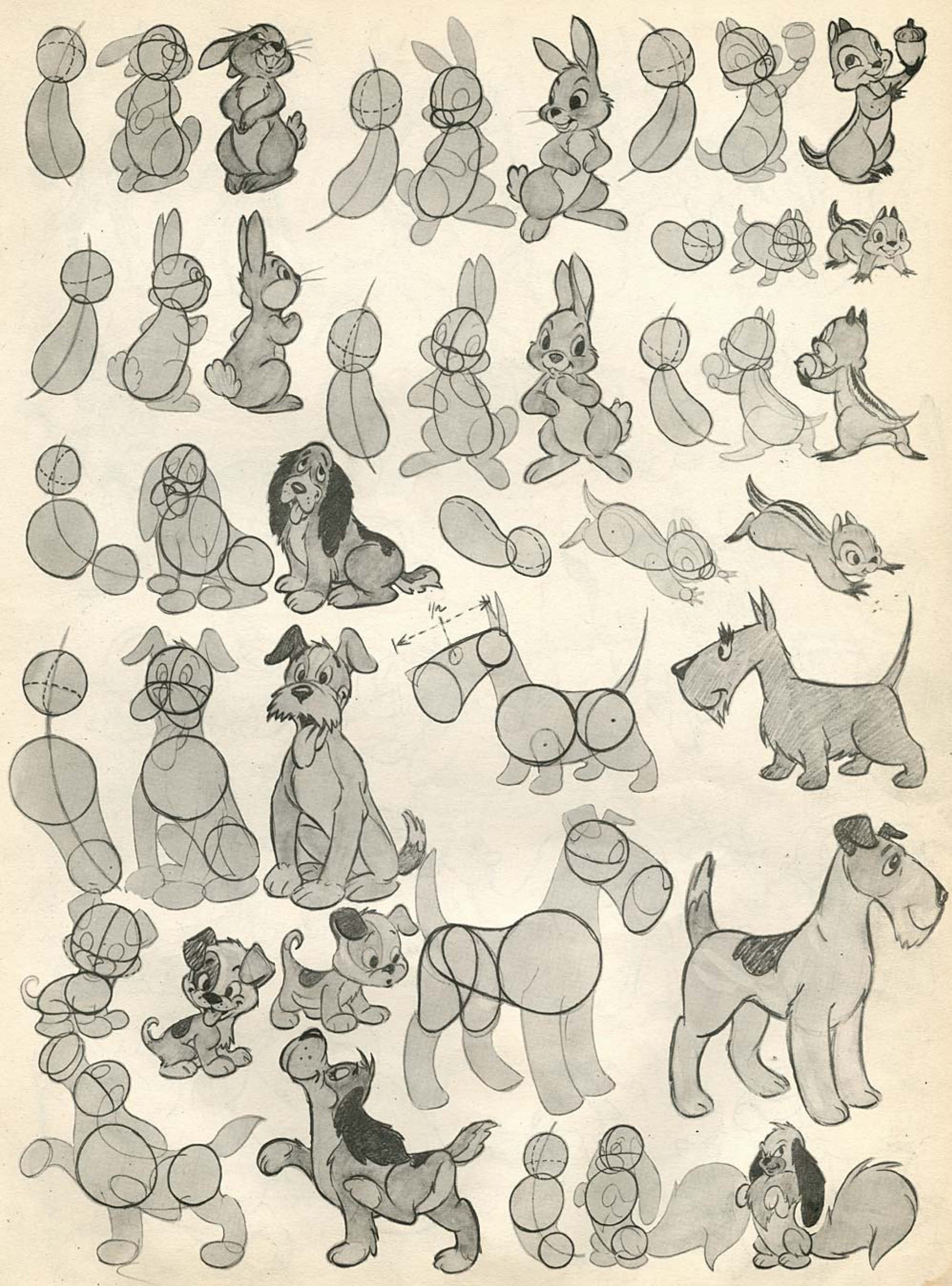 迪士尼狗手稿图片