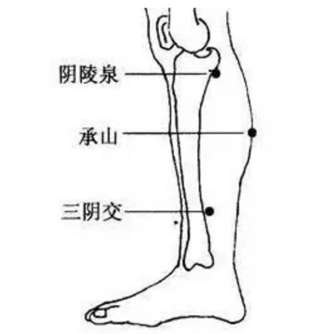 下肢刮痧经络走向图图片