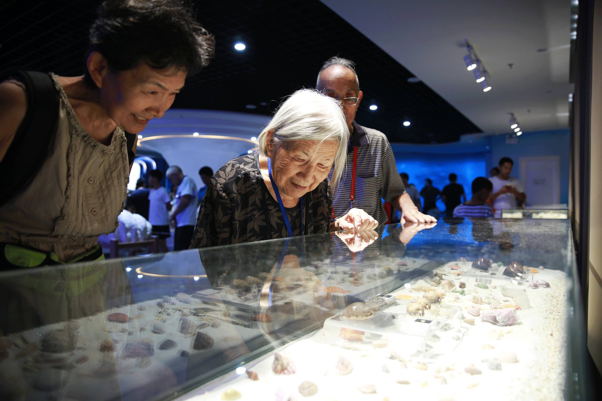免费开放!深圳蛇口海洋博物馆终于开馆,海底世界美翻了!