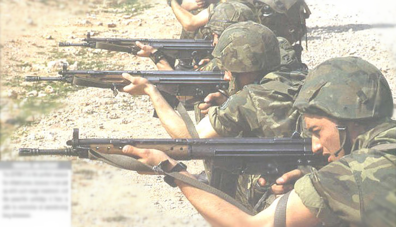 西班牙现役突击步枪图片
