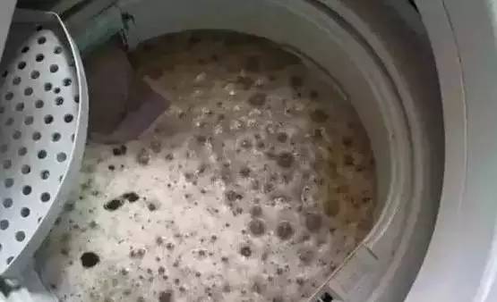脏▼▼▼就会成这样洗衣机常年不洗要开始定期进行清洗细菌开始增多新