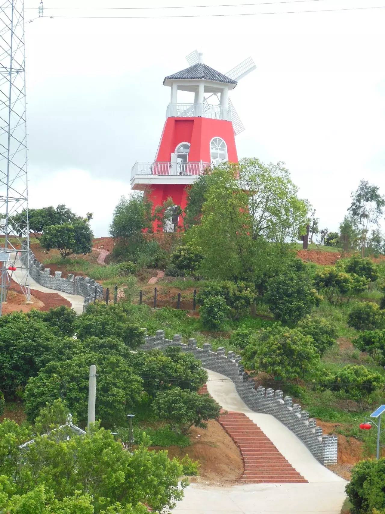 灵山新光桂味生态园灵山新光桂味生态园灵山新光桂味生态园,漫山遍野