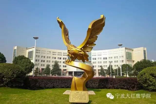 大红鹰宁波财经学院图片