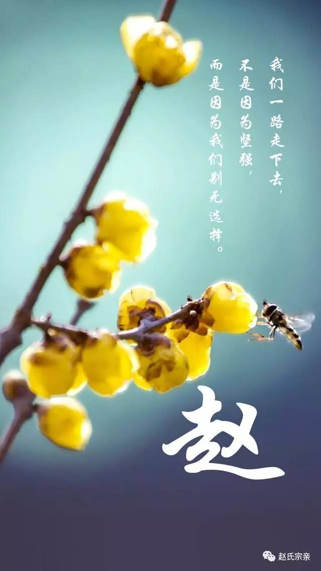 赵字组词壁纸图片