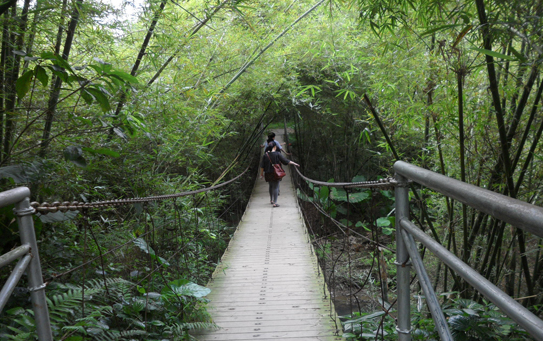 盡情參與跳竹竿,垂釣,燒烤露營等活動,還可到江邊的竹林餐廳品嚐竹