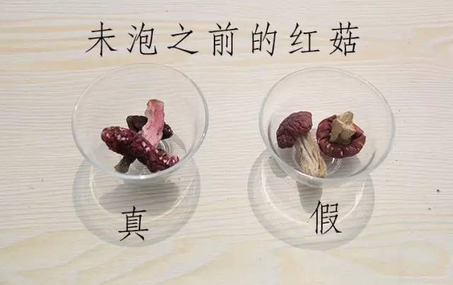 红菇怎么分辨真假图解图片