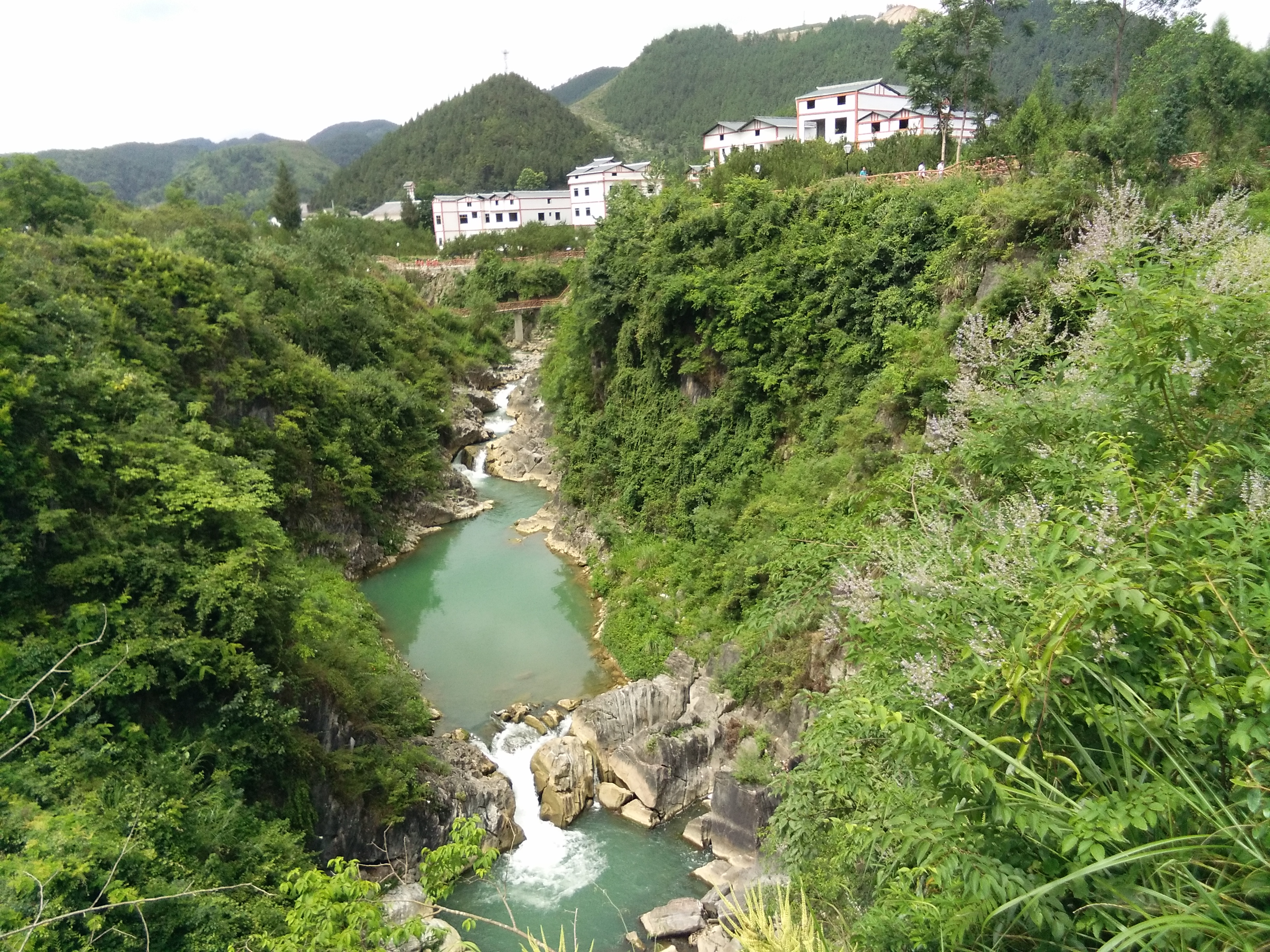 沙子南庄景区 政府依托空心李和当地的自然资源发展旅游.