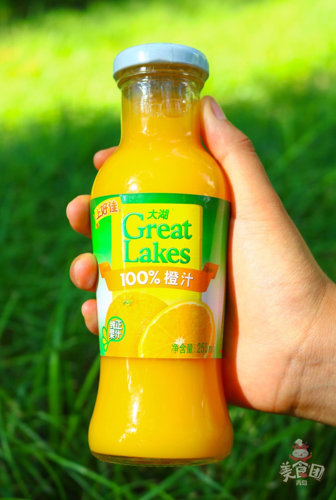 奶香味橙汁po图片