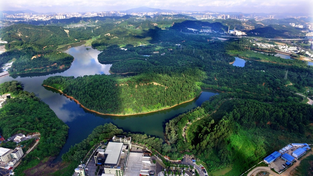 深圳平湖公园图片
