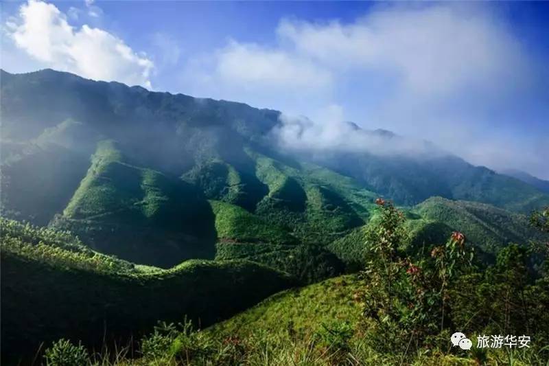 福建华安国家森林公园图片