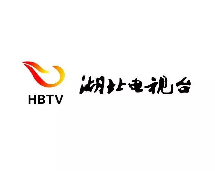 邯郸电视台logo图片