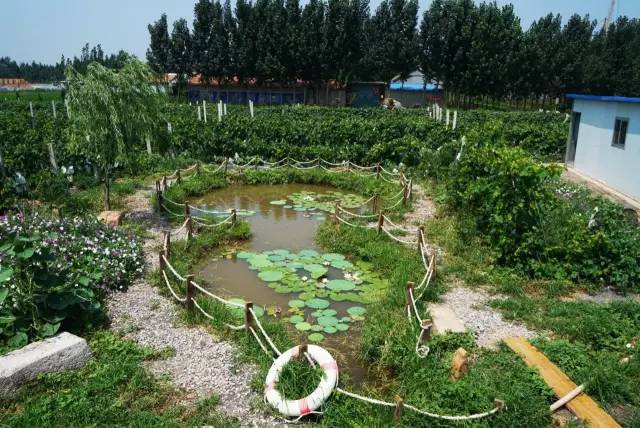 葫芦造型水池图片